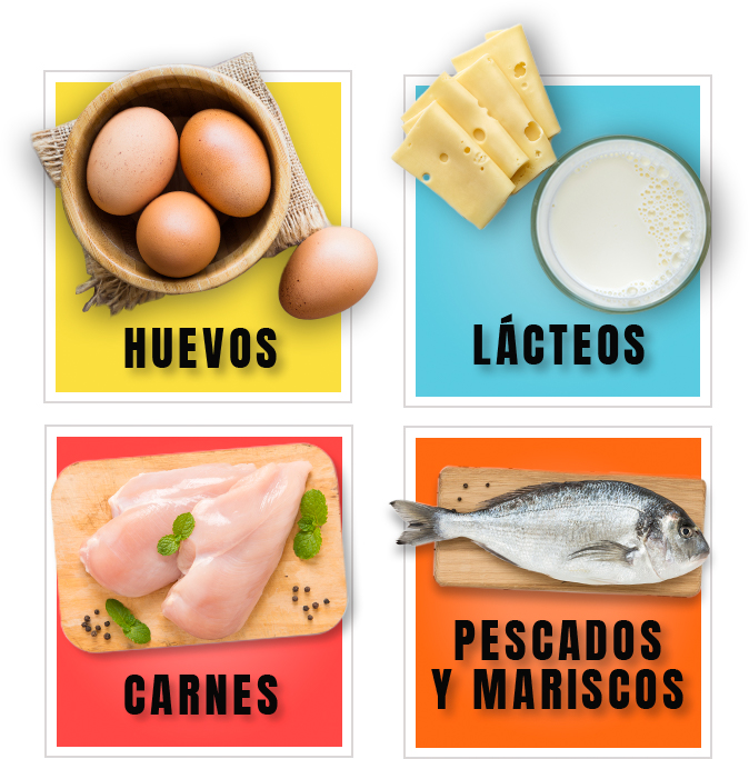 Proteína: Lo que tu cuerpo necesita para estar siempre sano
