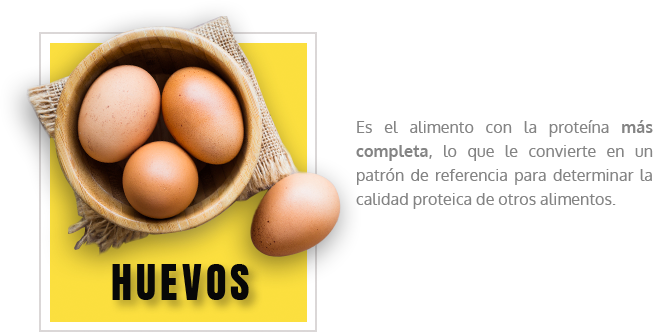 Huevos