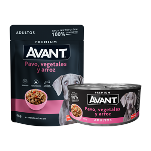 latas_300x300_adultos_seis