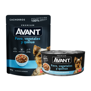 latas_300x300_cachorros